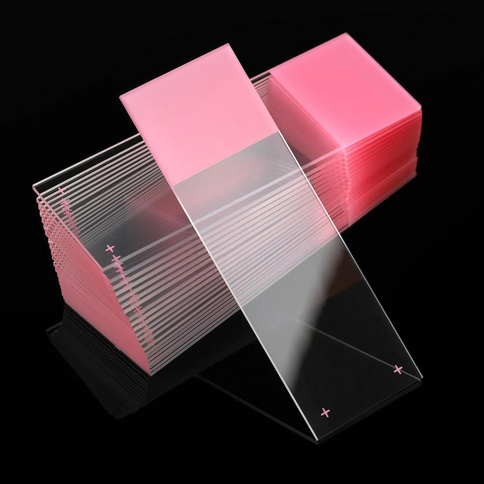 Diamond® White Glass Premium Charged Microscope Slides, 90° Corners ...