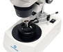 Accu-Scope 3052 Stereo Microscope