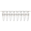 PCR 8-strip tubes, 0.2mL, PP, natural