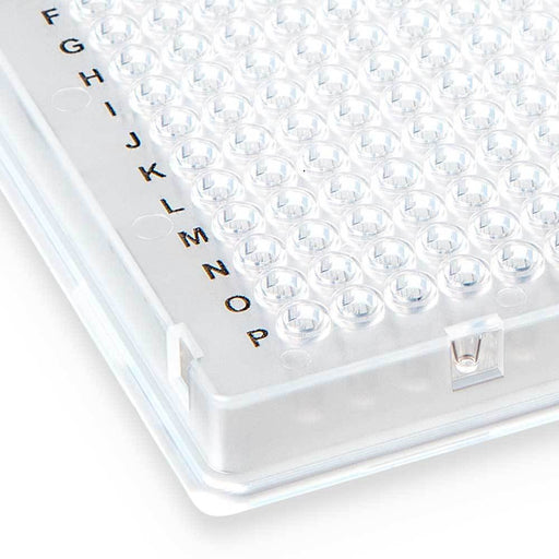 384-well PCR plate, A24 single notch, natural