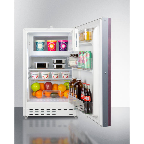 Accucold 21" Wide Built-in Refrigerator-Freezer ADA Compliant (Panel Not Included) - ALRF48IF